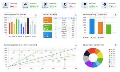 fleet management report