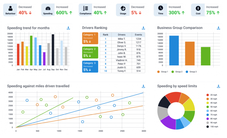 fleet management report