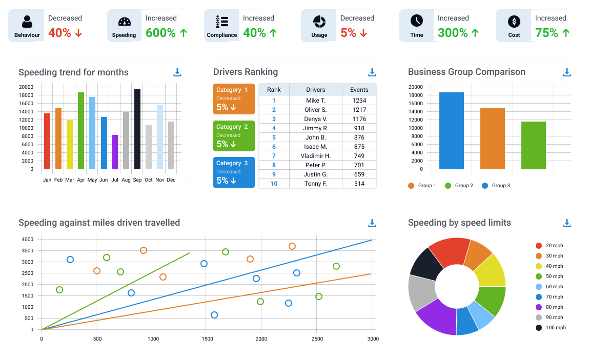 fleet management report